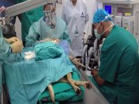 Kuzey Kıbrıs Otomobil Kulübü Hayvan Hastanesini Ziyaret Etti