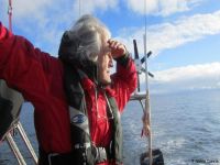 Berlinale’nin farkı ne?