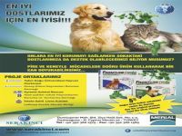 Sokak Hayvanları yararına Büyük Proje başlatılıyor....