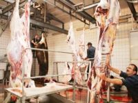 Kesimler denetimli Atıklar denetimsiz