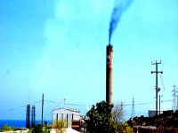 Tekneciğe taze kan yolda...