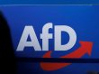 AfD iktidar olunca devlet kadrolarında tasviye planlıyor