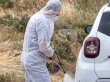 Güney Kıbrıs'ta 121 çiftlikte karantina devam ediyor