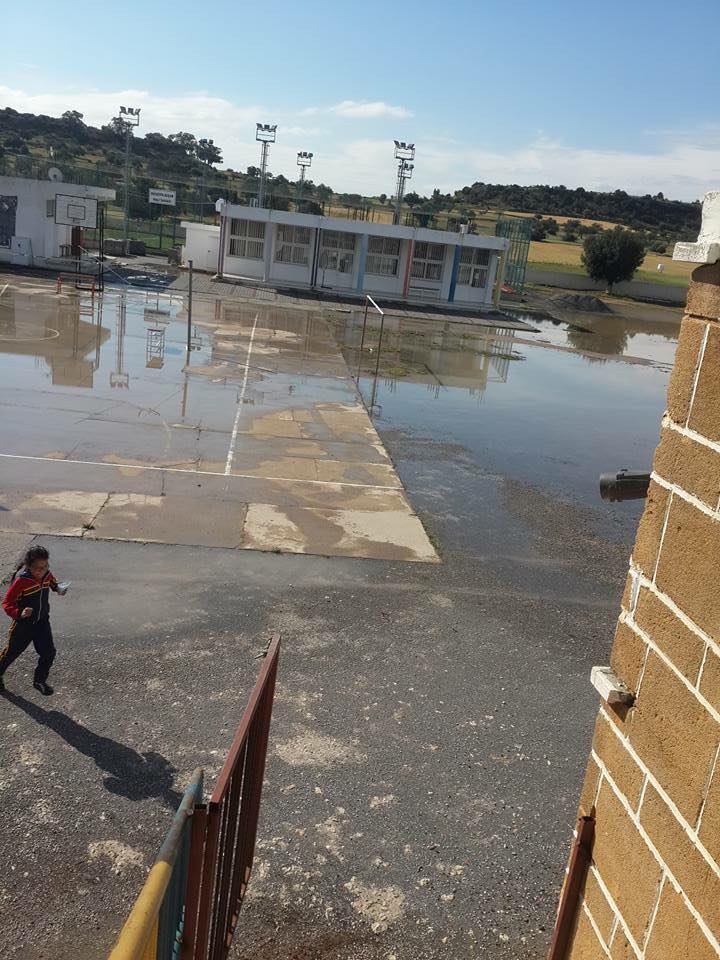 12963764_266754836995758_3487059248490537801_n.jpg 12963764_266754836995758_3487059248490537801_n.jpg