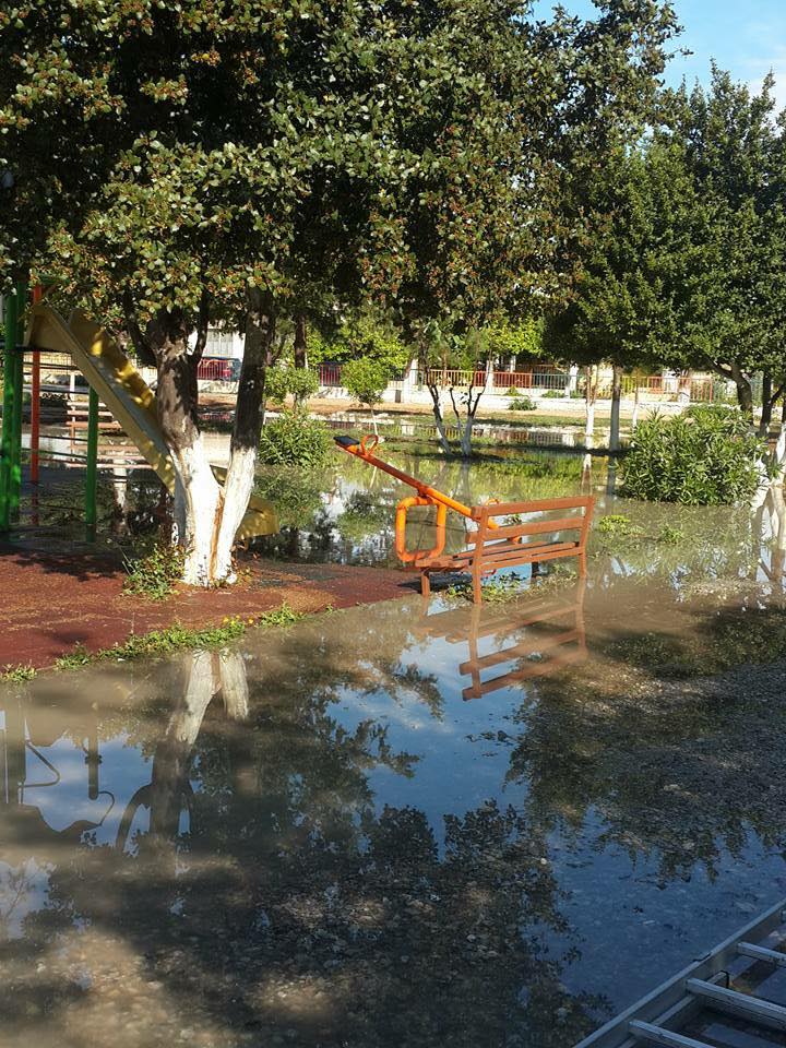 12987180_266754846995757_2821979305913607640_n.jpg 12987180_266754846995757_2821979305913607640_n.jpg