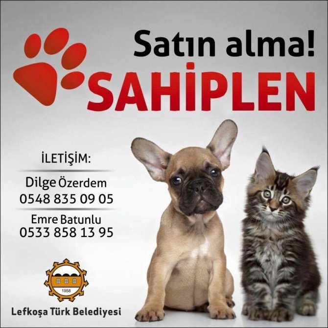 1471001134.jpg 1471001134.jpg