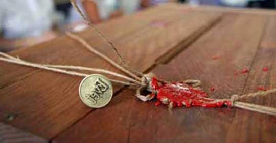 secim-sandigi_zpsc06c0d24[1]