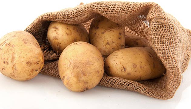 12_11072012074040[1]