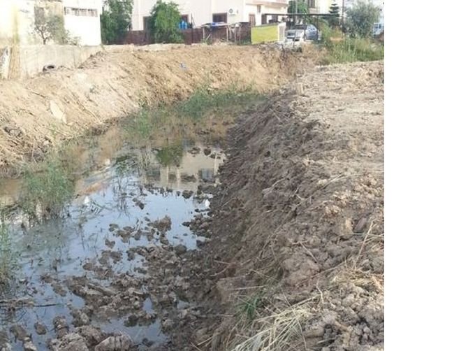 2015-04-29-biyologlar-dernegi-kanli-dereye-dozerlerle-mudahalelere-tepki-gosterdi.jpg 2015-04-29-biyologlar-dernegi-kanli-dereye-dozerlerle-mudahalelere-tepki-gosterdi.jpg