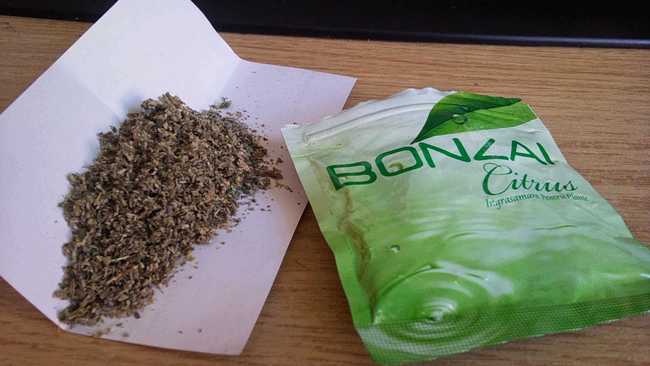 bonzai