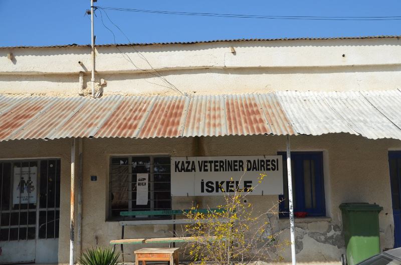 veterinier-dairesi[1]