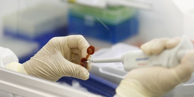 page_domuz-gribinden-olenlerin-sayisi-33a-yukseldi_581013168