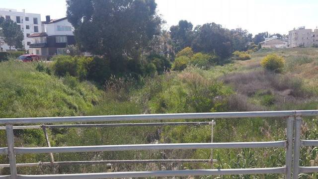 Derenin temizlenmemiş olan batı yakası