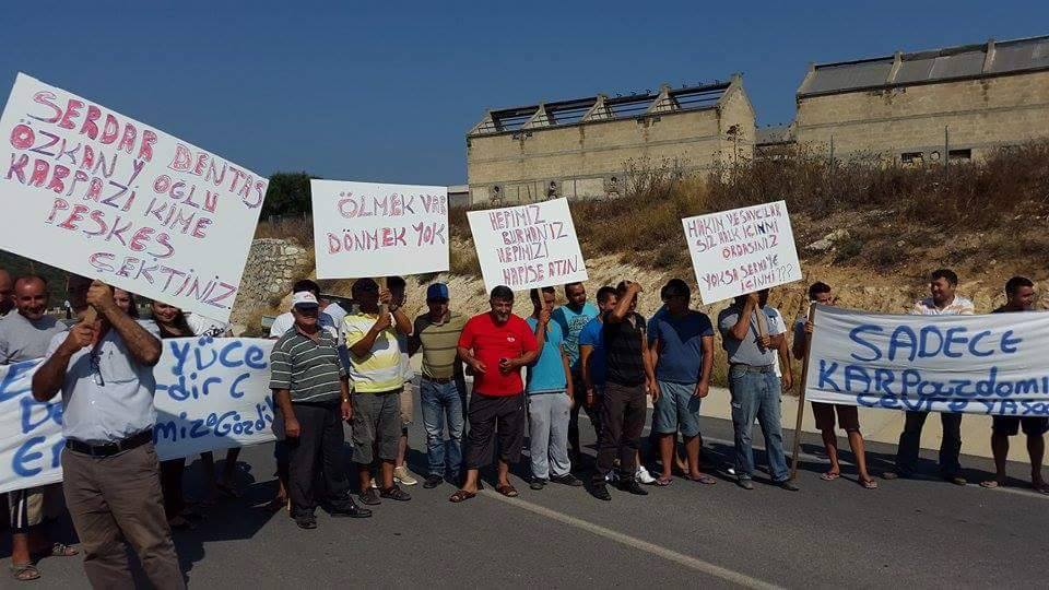 11733426_10153417092982118_1037426685_n