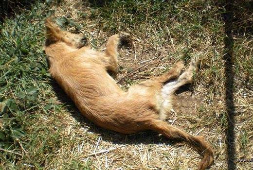 12442977_194630947549786_1361589009_n