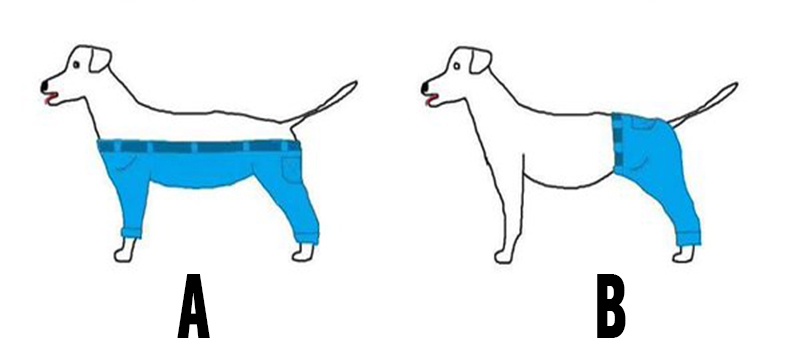 1451464159.140808jpg