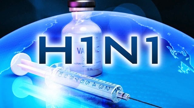 domuz gribi h1n1 virusu
