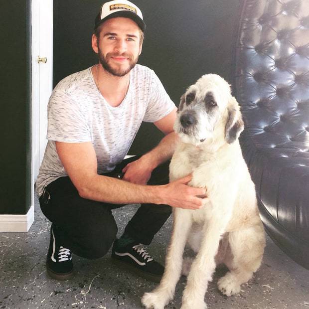 liam-and-dog-instagram-bcf7121e-74a4-44ec-933f-3d2ad0056215