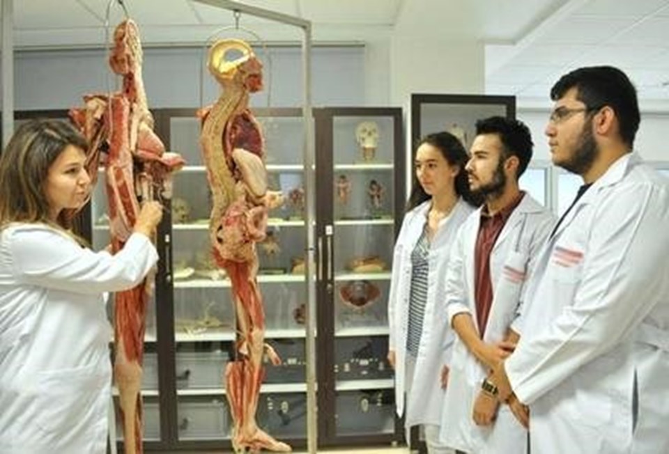 tip-egitiminde-kadavra-sorunu,v4Ey-u0UmUCInC6pWDplOQ