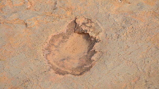 tunus-ta-dinozorlarin-ayak-izleri-bulundu-6392784