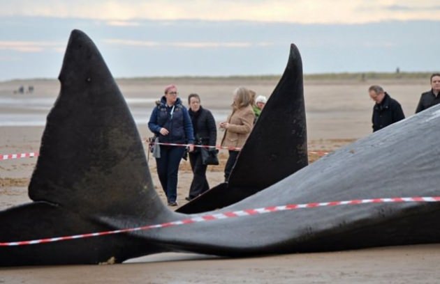 YYyPC_1453714249_3112