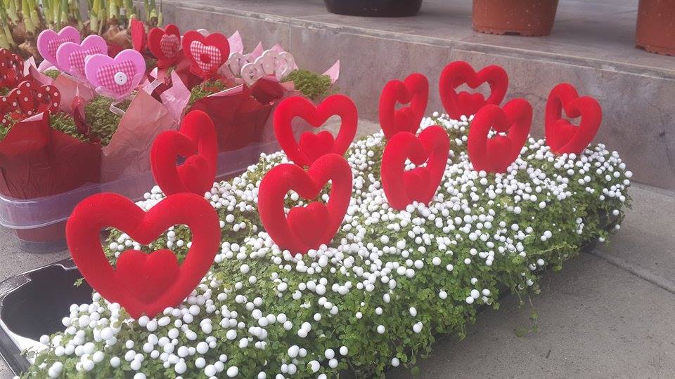 12714067_10153960101453708_256374783_n