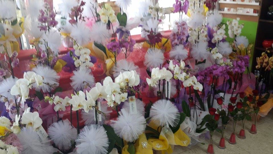 702867_10153960101673708_1287412614_n