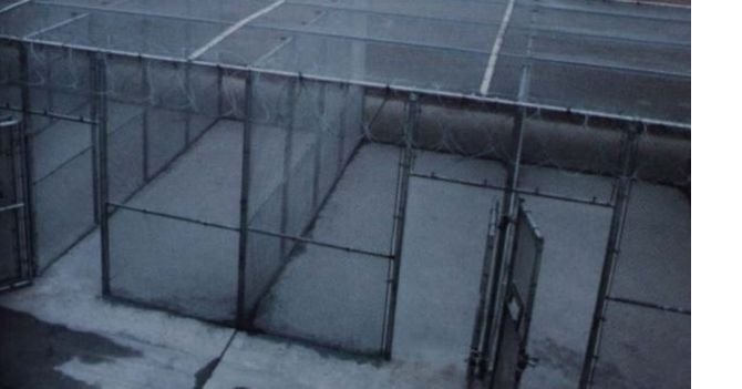 _92470816_yarris4.jpg _92470816_yarris4.jpg