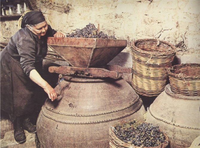 cw-pithari-winemaking.jpg cw-pithari-winemaking.jpg