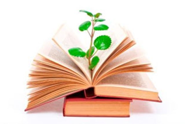 foto1-002.jpg foto1-002.jpg