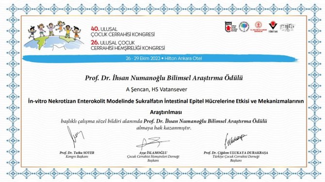 prof.-dr.-ihsan-numanoglu-arastirma-odulu.jpg