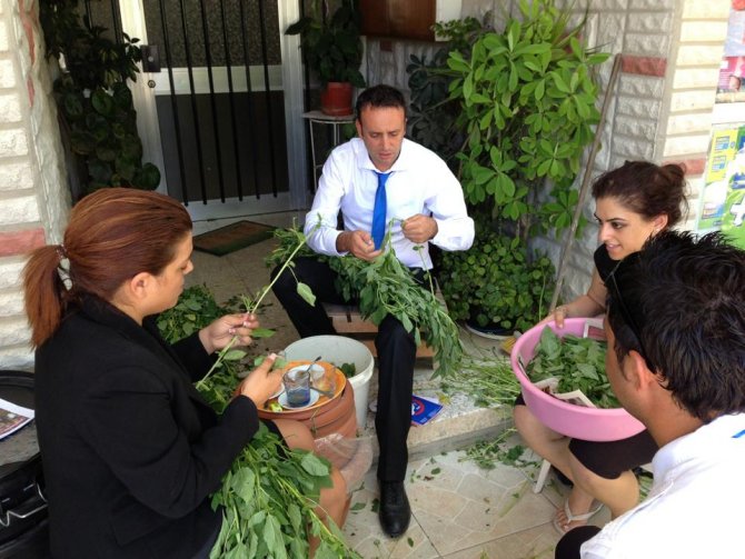 zeki-celer-001.jpg zeki-celer-001.jpg