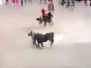 Arenada korkunç ölüm!